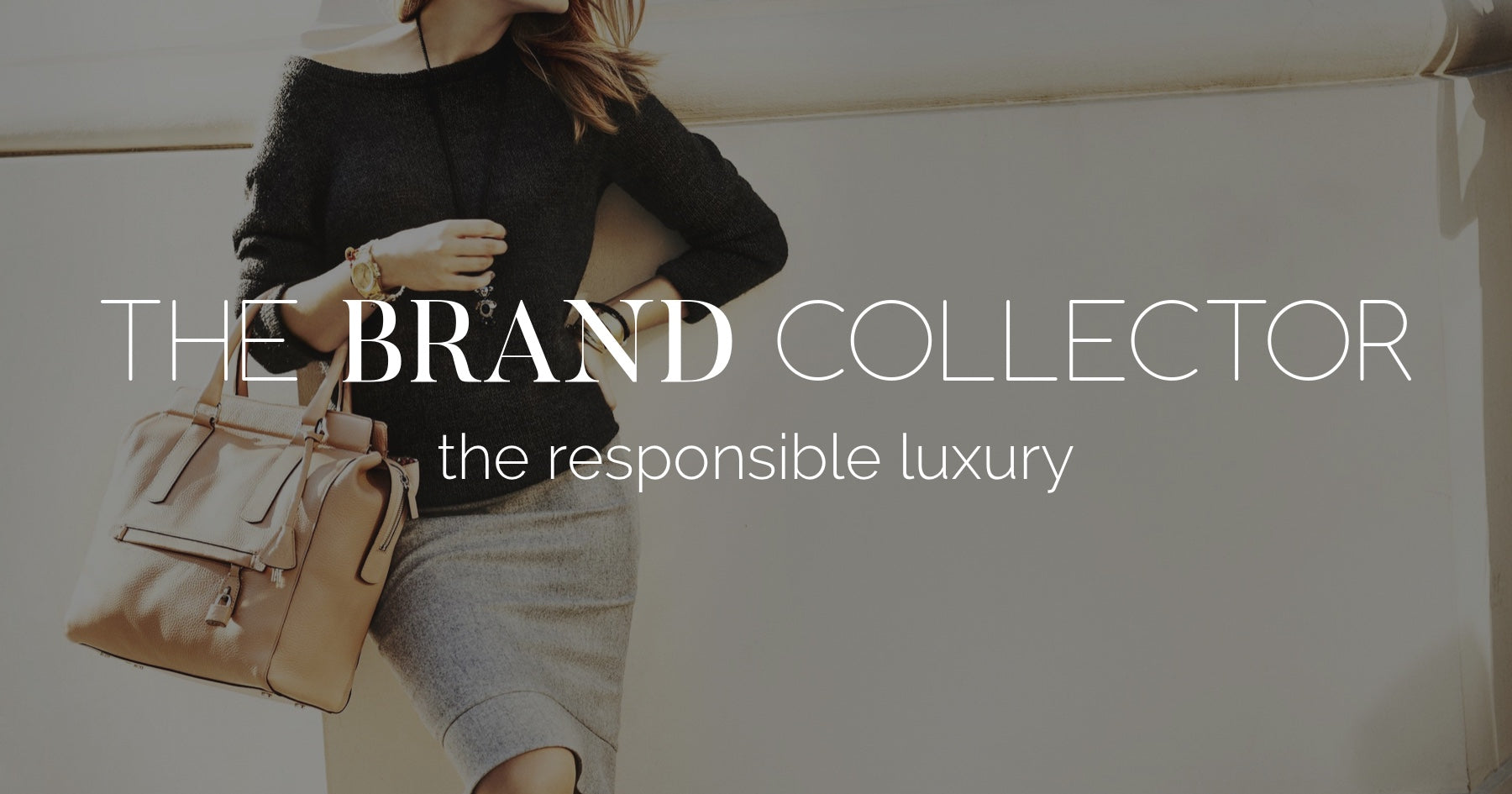 Louis Vuitton e – The Brand Collector